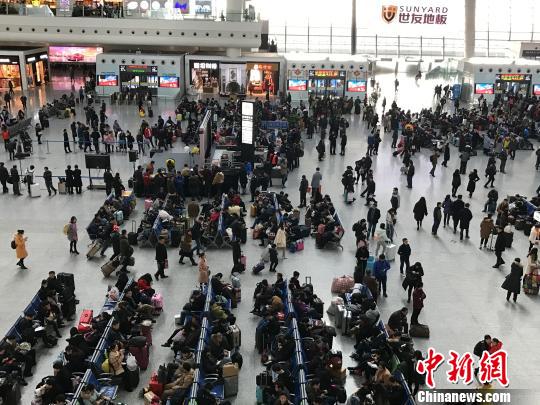 1120371318_14852129822611n 1120371318_14852129822611n