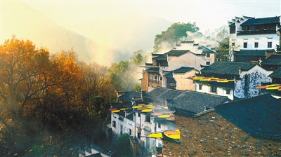 W020170124415659864849 W020170124415659864849