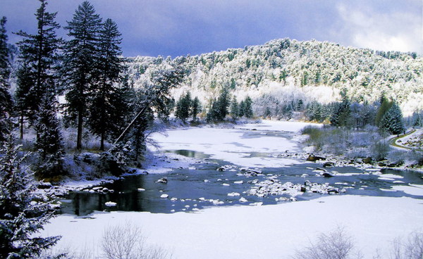 wldt2010-11-28-11-45-37 wldt2010-11-28-11-45-37