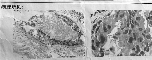 1120377949_14852997446521n 1120377949_14852997446521n