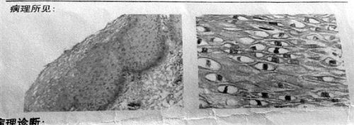 1120377949_14852997447811n 1120377949_14852997447811n