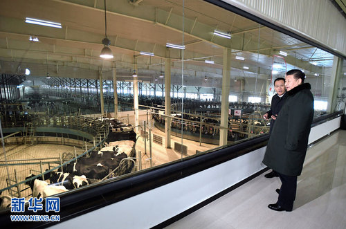 129460520_14852727600121n 129460520_14852727600121n