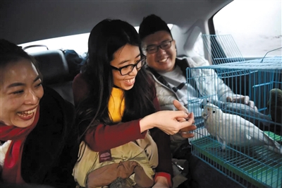 1120401383_14860801783241n 1120401383_14860801783241n