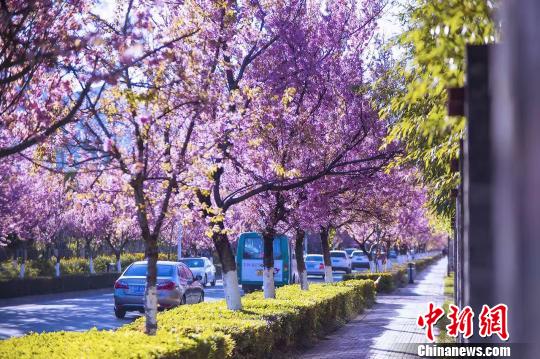 6010380189943502060 6010380189943502060