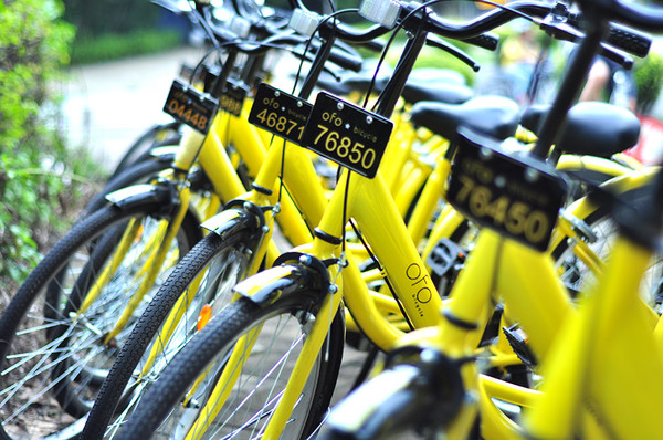 6361730499609014531340556 6361730499609014531340556