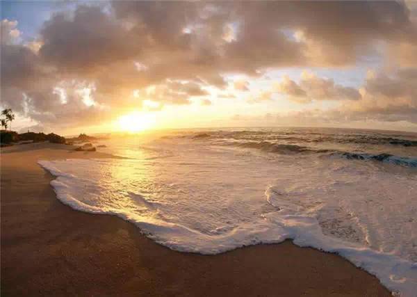 a4rpoi16116301619596 a4rpoi16116301619596