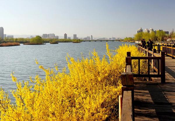 QQ截图20170203152113 QQ截图20170203152113