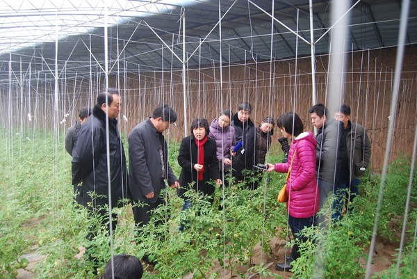 2013030116554644078 2013030116554644078