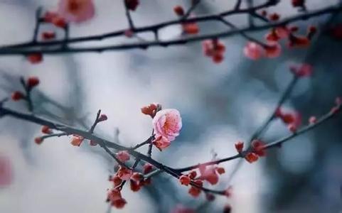 今日立春百年一遇 今日立春百年一遇