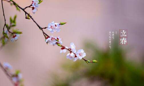 今日立春百年一遇2 今日立春百年一遇2