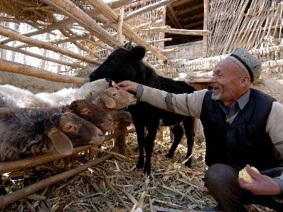 20163231508053257 20163231508053257