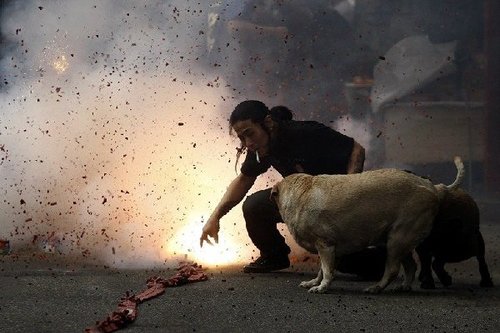 129463012_14857386731231n 129463012_14857386731231n