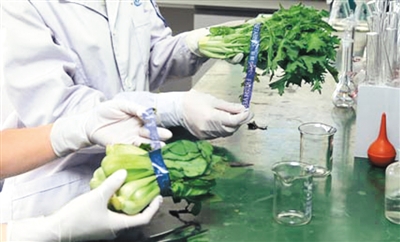 rmrbhwb2017020410p34_b rmrbhwb2017020410p34_b