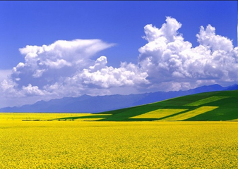 t01e0c109c22f50352d t01e0c109c22f50352d