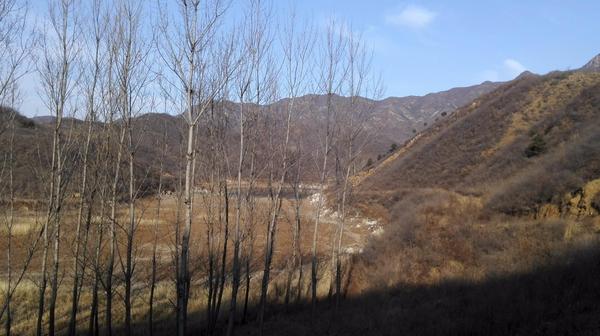 u=711443112,2079994476&fm=214&gp=0 u=711443112,2079994476&fm=214&gp=0