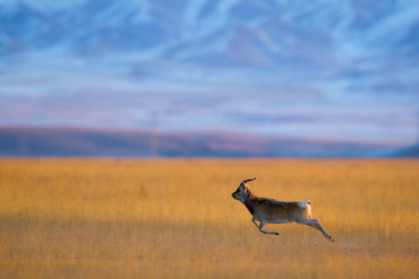 001DitJNzy6PnlKES6uaa&690 001DitJNzy6PnlKES6uaa&690