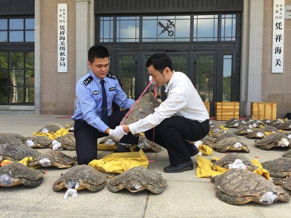 29af9ad8-8c78-43ae-bcb4-f063f810a999 29af9ad8-8c78-43ae-bcb4-f063f810a999