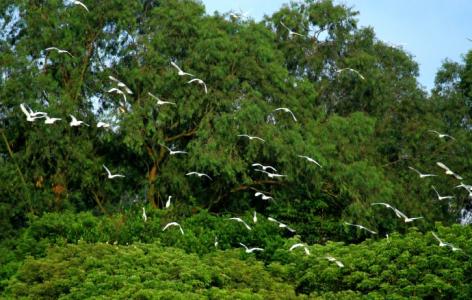 u=4234153481,405254424&fm=23&gp=0 u=4234153481,405254424&fm=23&gp=0