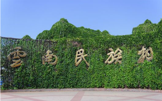 QQ截图20170206154207 QQ截图20170206154207