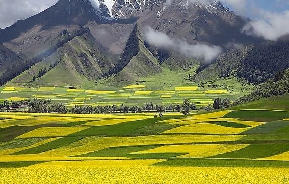 QQ截图20170208095915 QQ截图20170208095915