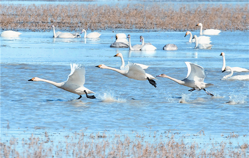 c89cdce578191a048c1d03 c89cdce578191a048c1d03