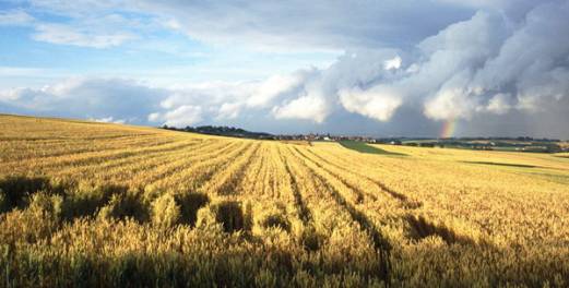 P200701231028531123230673 P200701231028531123230673