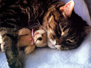 t018685c0a41cab04f8 t018685c0a41cab04f8