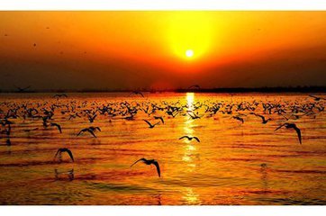 t01840bb409c353db0e t01840bb409c353db0e