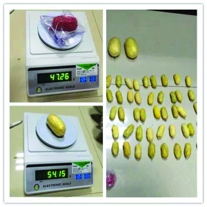 Img480242951 Img480242951