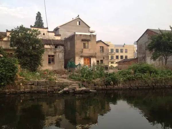 Img480260681 Img480260681