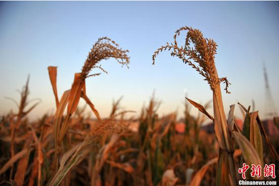 QQ截图20170209144524 QQ截图20170209144524