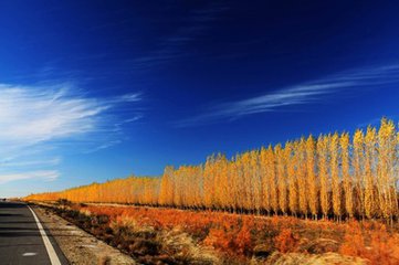 t0129d85d55d465dee9 t0129d85d55d465dee9