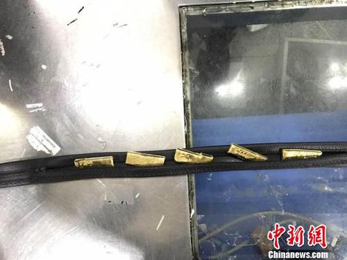 藏在腰带内的黄金 蒋昕 摄 藏在腰带内的黄金 蒋昕 摄