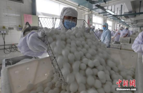 2017年2月8日，北京稻香村员工加紧生产元宵，元宵被粗筛出来。<a target='_blank' href='http://www.chinanews.com/'><p  align=