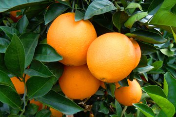 t0171676569049e2860 t0171676569049e2860