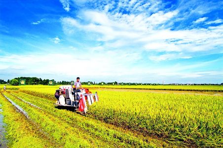 7091538481151165743 7091538481151165743