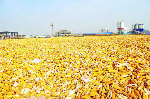 6278aba1726840af8f1334c8c3c3dfaa_b_B_BASIC 6278aba1726840af8f1334c8c3c3dfaa_b_B_BASIC