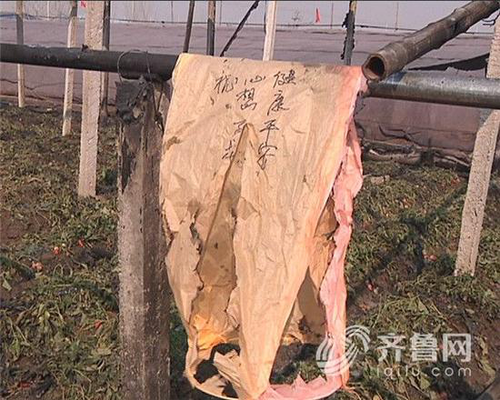 市民放孔明灯引燃农户大棚 种植户损失40多万