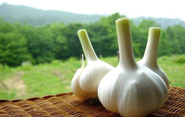 t01dc8596b493fb356b t01dc8596b493fb356b