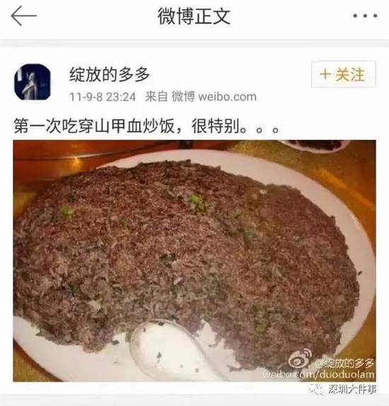 9ca87a8e40e0c9aebe745e0d383a51c7 (1) 9ca87a8e40e0c9aebe745e0d383a51c7 (1)