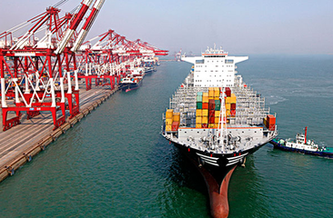 t018428cee681e38de5 t018428cee681e38de5