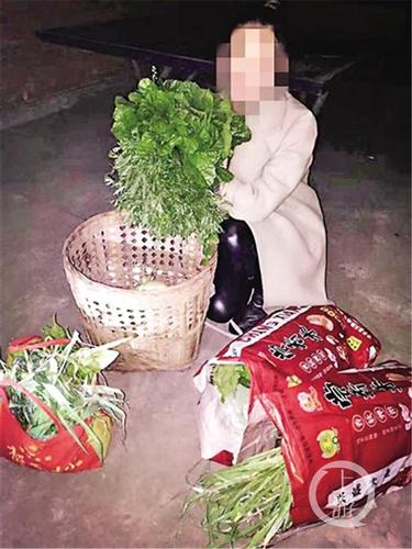 元宵节“偷青”民俗变偷菜:城里人毁了整块菜地