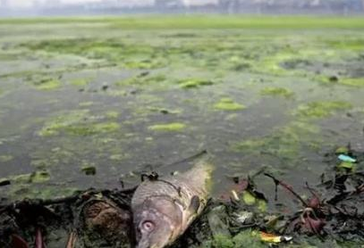 QQ截图20170215092214 QQ截图20170215092214