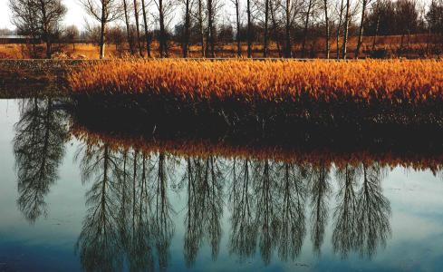 u=886098365,2659944196&fm=23&gp=0 u=886098365,2659944196&fm=23&gp=0