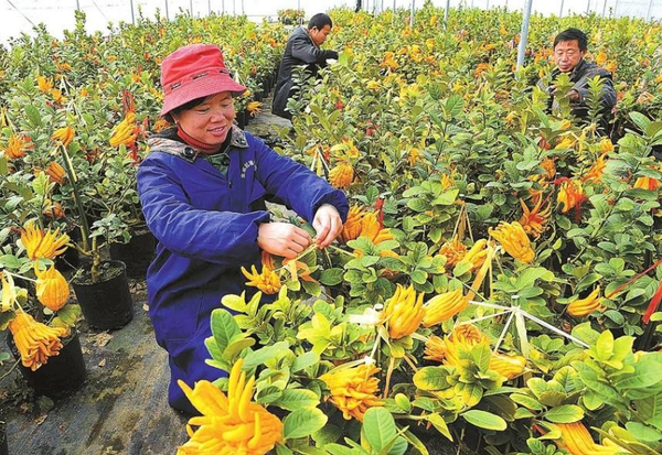 QQ截图20170215162305 QQ截图20170215162305