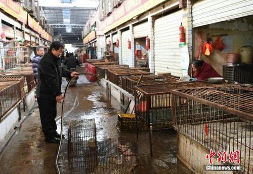 目前，长沙市活禽市场全部休市。 杨华峰 摄
