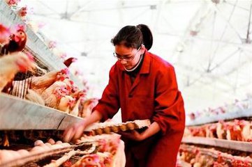 t0167e7e2150c1e2c49 t0167e7e2150c1e2c49