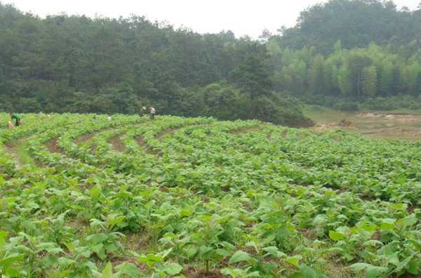 微信截图_20170217155033