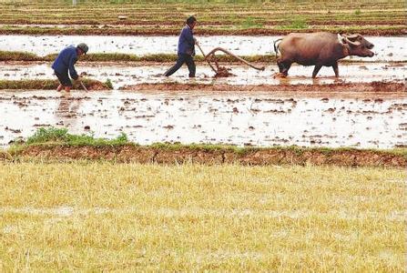 u=872584943,2883163987&fm=23&gp=0 u=872584943,2883163987&fm=23&gp=0