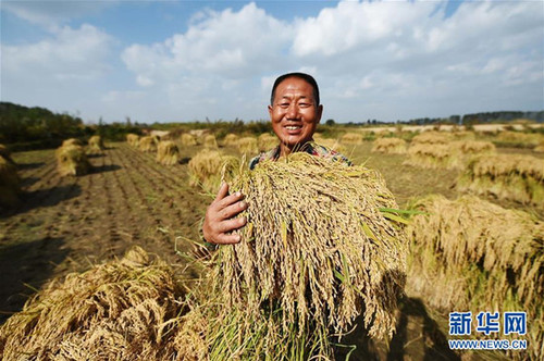 129483729_14873156053331n 129483729_14873156053331n